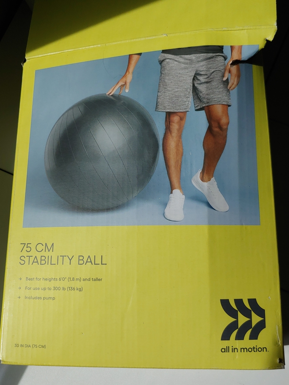 all in motion Gray Stability Ball